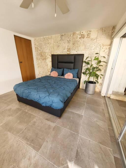 3 Rooms House At Side Of The Lagoon Cancun Exterior photo
